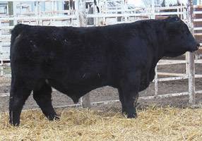 FF PROTEGE C878