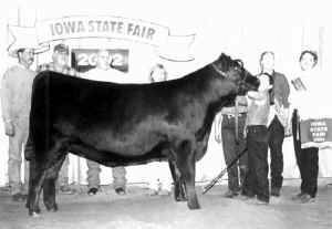 paigewallace.jpg (32253 bytes)
