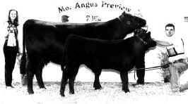 chcowcalf.jpg (21369 bytes)