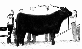 chfemale.gif (62958 bytes)