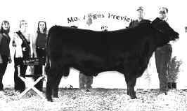 rebull.jpg (27424 bytes)