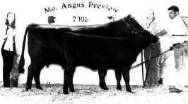 recowcalf.jpg (22610 bytes)
