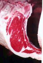 Rib.jpg (47218 bytes)